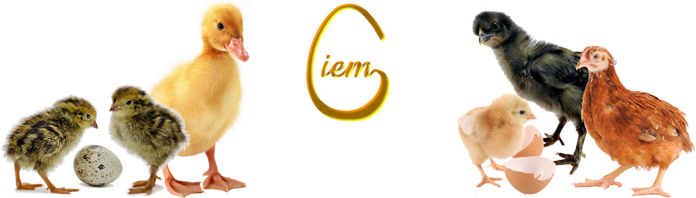 Productos