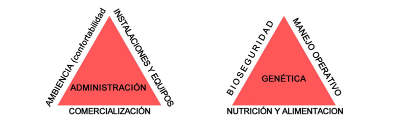 Infografias